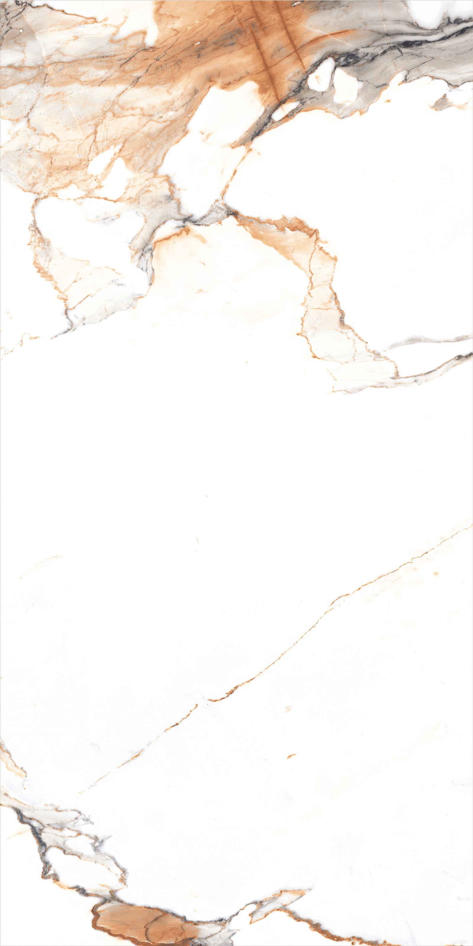 shop-2_01